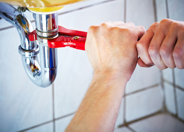 About Island Park Plumbers